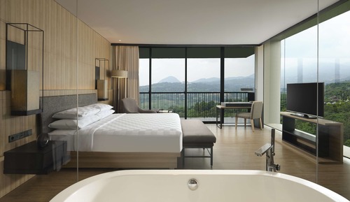 Estudio, 1 cama de matrimonio grande