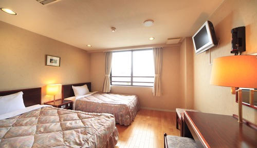 Habitación con 2 camas individuales, vistas a la montaña