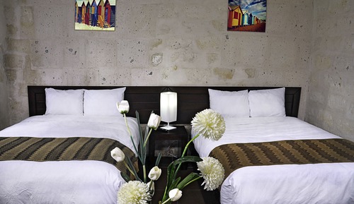 Habitación ejecutiva con 2 camas individuales