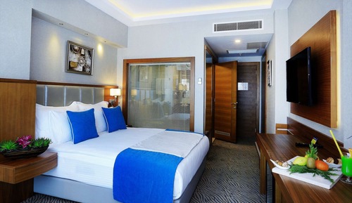 Habitación estándar, 1 cama de matrimonio, no fumadores
