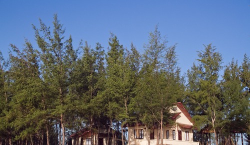 Bungalow Deluxe (Beach)