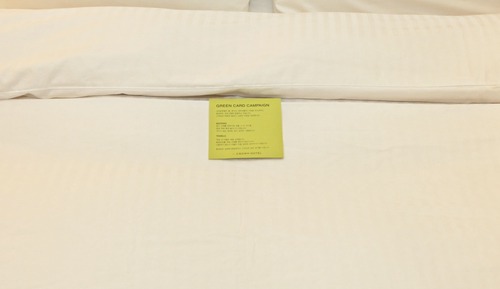 Habitación Deluxe con 2 camas individuales