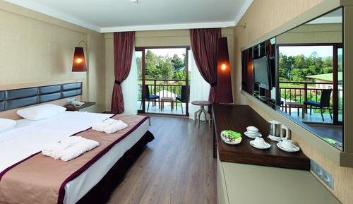 Habitación Deluxe, no fumadores, vistas al jardín