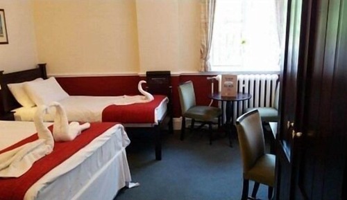 Suite, baño privado (DBL + 1SGL)