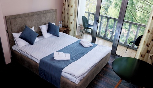 Habitación panorámica doble