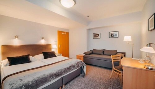 Double Room with Extra Bed and Wellness Access