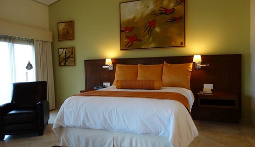 Habitación individual ejecutiva