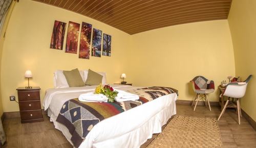 Suite de lujo, 1 cama de matrimonio grande (Baño Privado)