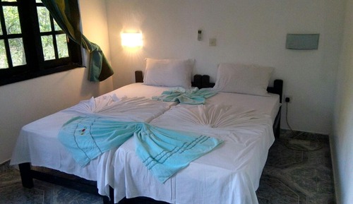 Habitación básica doble, 1 cama doble, vistas al jardín