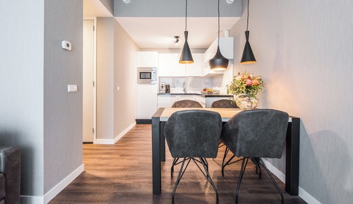 1 Bedroom Apartment, Balcony, Sofa Bed