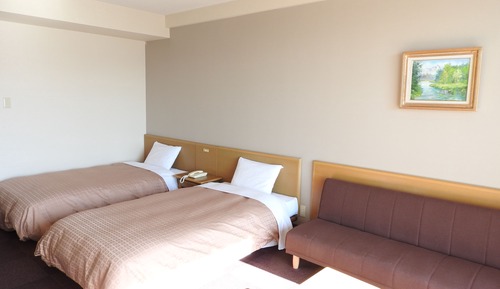 Habitación estándar con 2 camas individuales, no fumadores