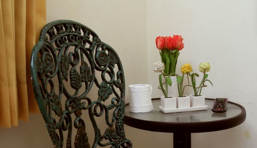 Habitación estándar doble ( Fan)