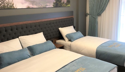 Suite 1+1 Room with Lake View