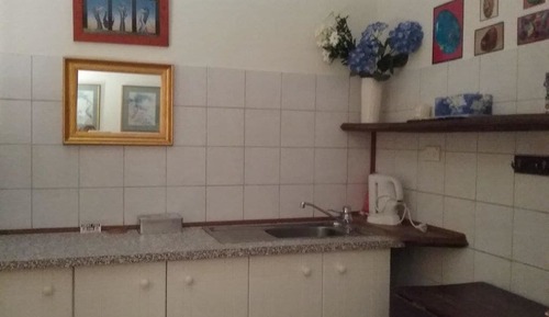 Habitación doble, cocina básica, vistas al jardín (Opal)