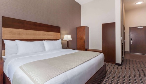 Habitación Premium, 1 cama de matrimonio grande, no fumadores (Pet-Friendly)