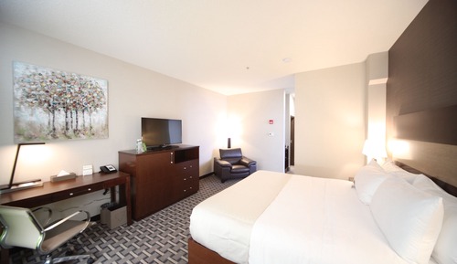 Suite ejecutiva, 1 cama de matrimonio grande con sofá cama (Executive Junior Suite)