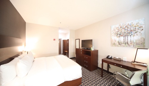 Habitación Premium, 1 cama de matrimonio grande