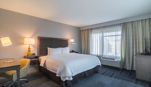 Suite, 1 cama de matrimonio grande, no fumadores, frigorífico y microondas