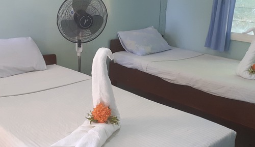 Habitación básica con 2 camas individuales, planta baja