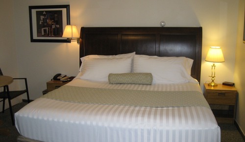 Habitación estándar, 1 cama de matrimonio grande, frigorífico y microondas, planta baja