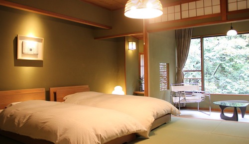 Habitación estándar con 2 camas individuales, no fumadores