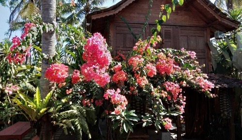 Casa (Kebo)