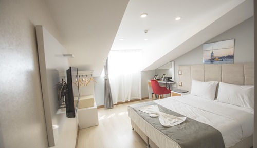 Habitación Deluxe con 1 cama doble o 2 individuales