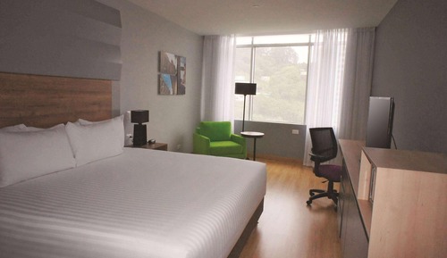 Room, 1 King Bed, Non Smoking