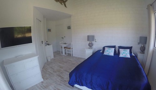 Habitación doble, vistas al jardín (Key WEST)