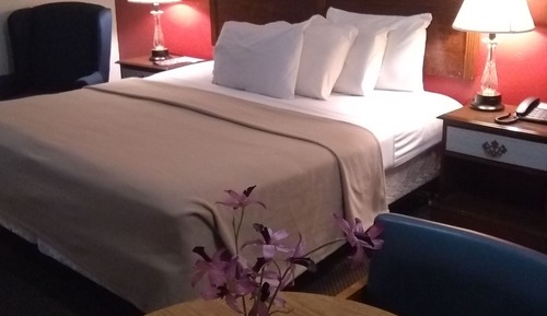 Habitación estándar, 1 cama de matrimonio grande