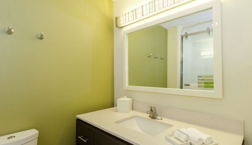 Suite, 1 cama de matrimonio grande (Roll In Shower)