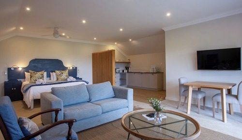 Suite estudio Premium