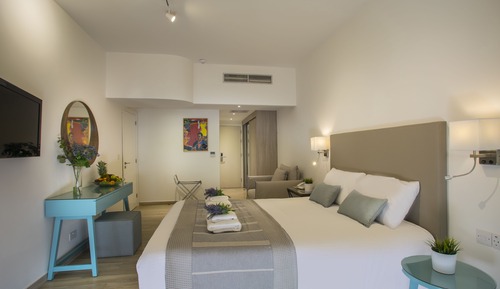 Swim Up Superior Room