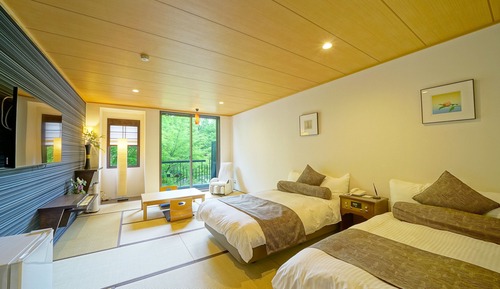 Habitación tradicional con 2 camas individuales, no fumadores