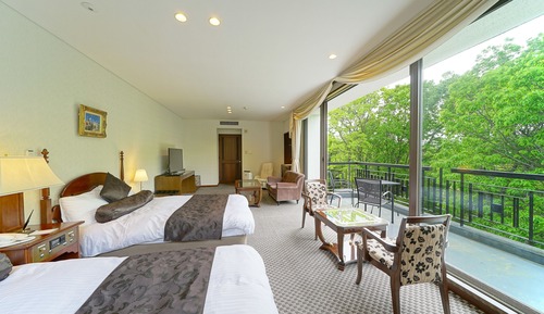 Habitación Premium con 2 camas individuales, no fumadores