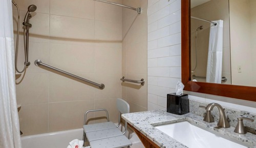 Suite, 1 cama de matrimonio grande con sofá cama, accesible para personas con discapacidad