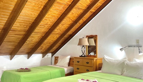 Loft estándar, varias camas, cocina básica, vistas al jardín
