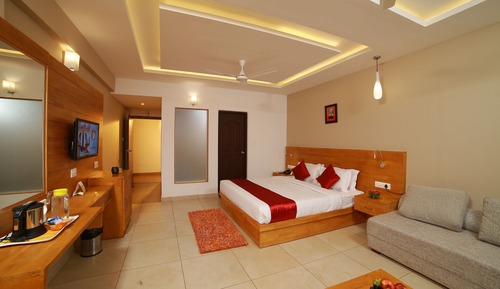 Habitación de lujo, 1 cama de matrimonio grande