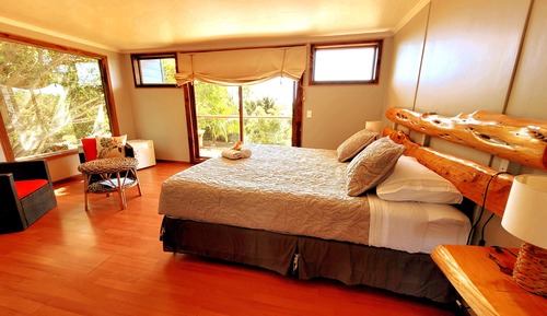 Suite estudio superior, 1 cama de matrimonio grande, vistas al jardín