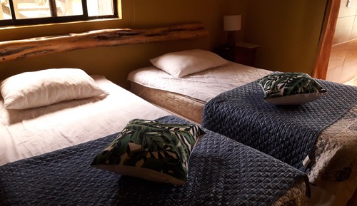 Habitación estándar con 2 camas individuales