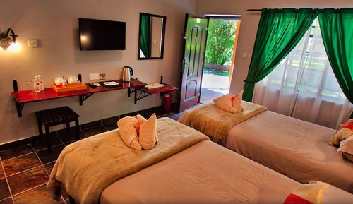 Habitación clásica con 1 cama doble o 2 individuales