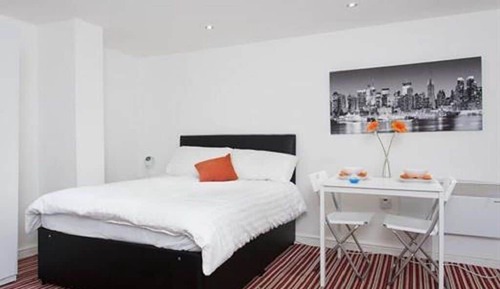 Estudio, baño privado (Studio - Sleeps 2 people)