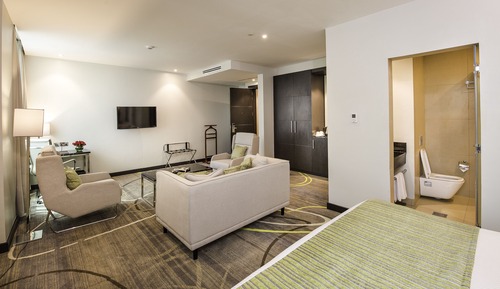 Habitación ejecutiva, 1 cama de matrimonio grande