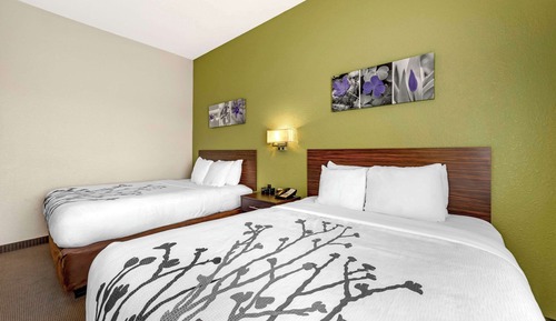 Habitación estándar, 2 camas de matrimonio, no fumadores