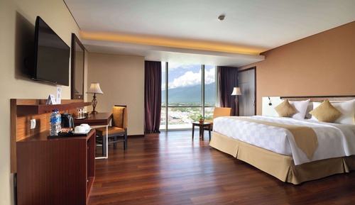Habitación Deluxe, 1 cama de matrimonio, fumadores, vistas a la ciudad