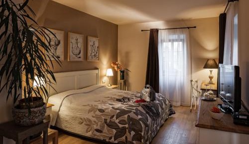 Premium Double Room