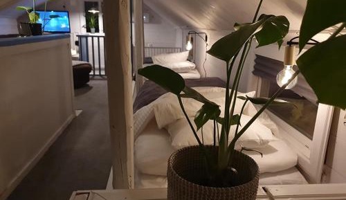 Penthouse Apartment