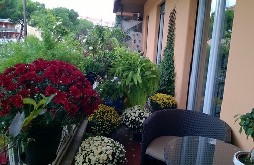 Quartiere XIII Aurelio Hotel | Gregorio VII Luxury Suites