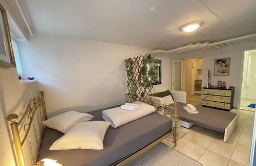 Basel City Centre Condominio | Cozy Place Whit Fast Wifi 3 min From Rhine