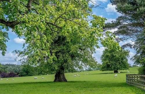 Gisburn Cabina | 3 bedroom accommodation in Gisburn, Yorkshire Dales